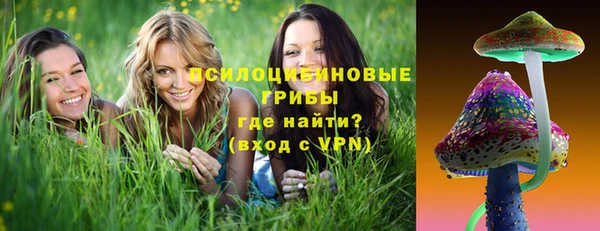 трава Богородицк